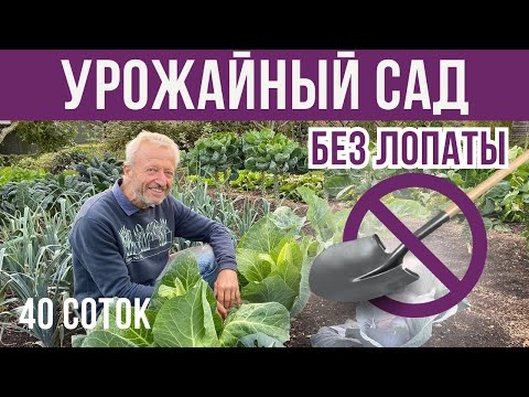 Видео: Выращивает урожай БЕЗ ЛОПАТЫ в саду на 40 соток