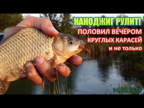 Видео: Круглые КАРАСИ гнут ультралайт в дугу. НАНОДЖИГ рулит! Ловля карася СПИННИНГОМ