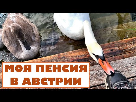 Видео: Мне будут платить пенсию в Австрии! Лебединая пенсия, 4K