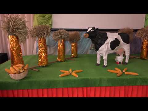 Видео: Фильм про Пильнинский район 1