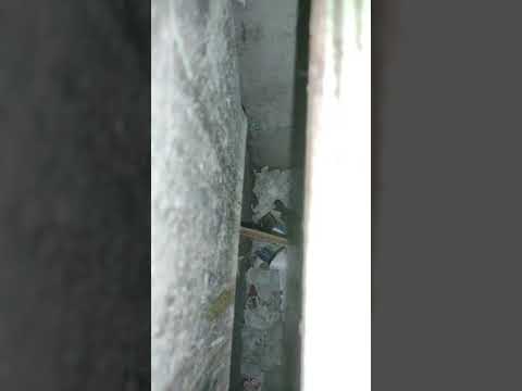 Видео: Как достать тлефон из шахты лифта? Или что делать если упал телефон в шахту лифта?