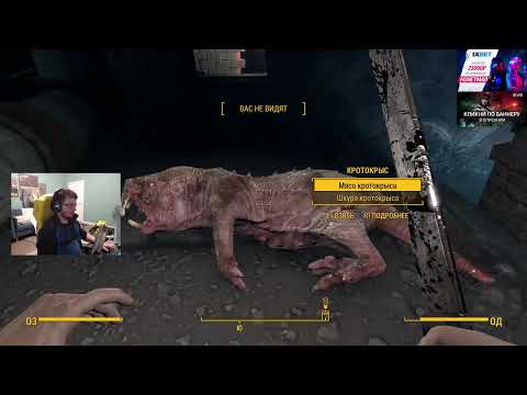 Видео: f4 выживание, day 2