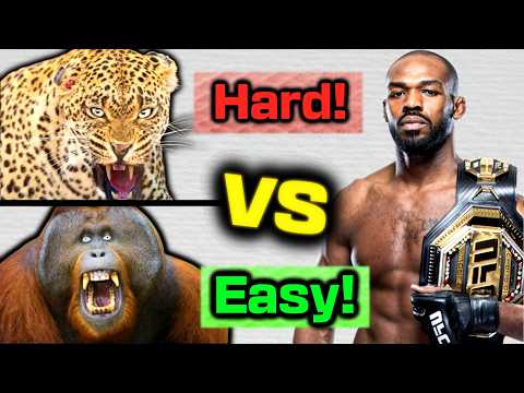 Видео: Каких животных может победить БОЕЦ ММА?