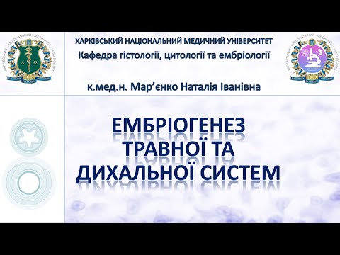 Видео: Ембріогенез травної та дихальної систем