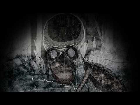 Видео: В 1977 году что-то выползло из леса в Дувре…