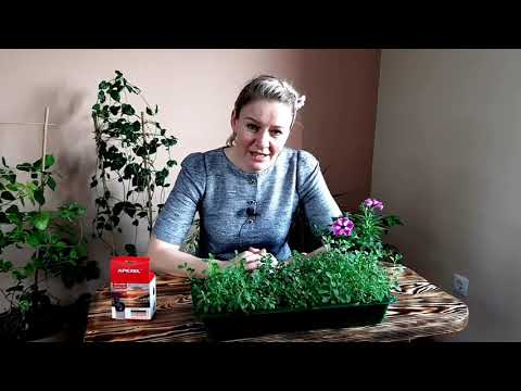 Видео: ВРЕДИТЕЛИ в почве, микросъемка, как бороться, самые действенные средства и препараты, советы Ани