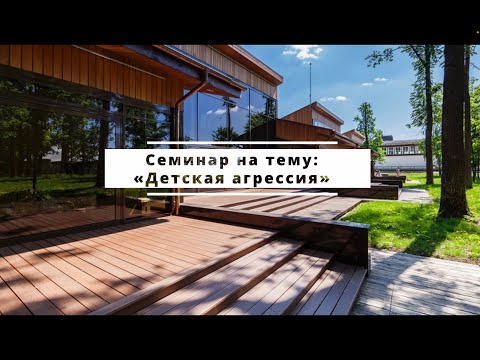 Видео: Семинар «Детская агрессия» в Монтессори-центре «Отрада»