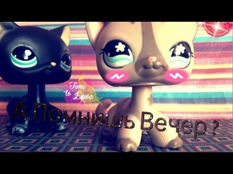 Видео: Lps music video- " А Помнишь Вечер?"