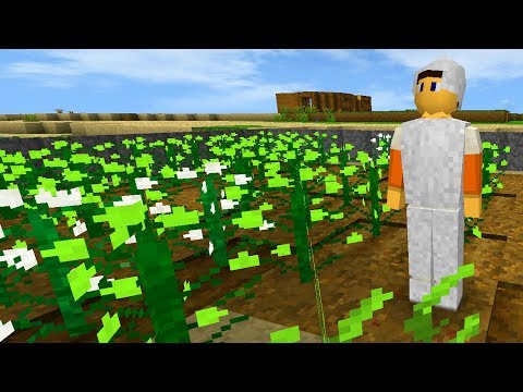 Видео: SURVIVALCRAFT 2 ВЫЖИВАНИЕ # 8 | ПШЕНИЦА И ХЛОПОК В СЮРВАЙВАЛКРАФТ, ФЕРМА ЕДЫ И ОДЕЖДА !!!