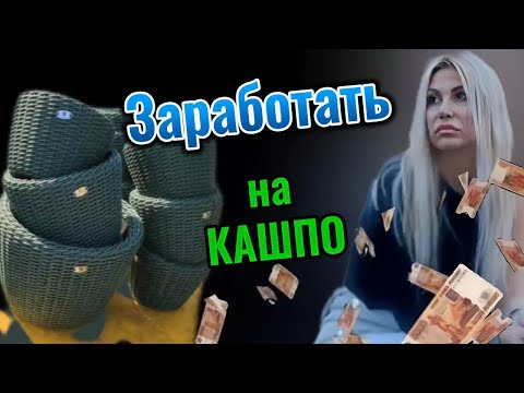 Видео: ЗАРАБОТОК НА КАШПО! Оптовые заказчики. Прием платежей и налоги.