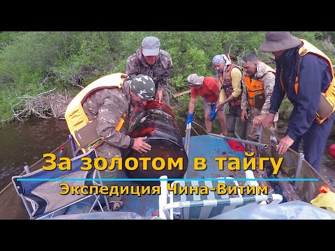 Видео: За золотом в тайгу. Чина-Витим. Тримараны, проходнушка, вольный принос, рассказ местных о золоте