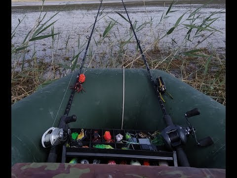 Видео: Рыбалка на Капчагае. Змееголов на  лягушку.