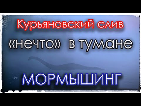 Видео: Курьяновский слив. "Нечто" в тумане. Мормышинг.