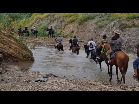 Видео: Конные прогулки Ауховских всадников 
