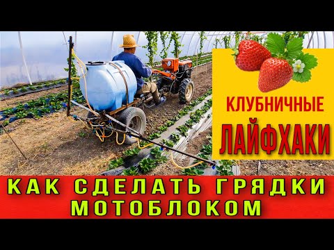 Видео: Как сделать грядки мотоблоком.Клубничные лайфхаки