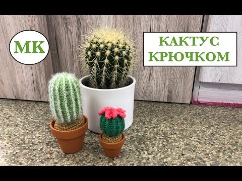 Видео: МК: 🌵 КАКТУС КРЮЧКОМ. 2 СОРТА = 1 СХЕМА.  CROCHET CACTUS