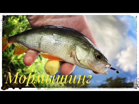 Видео: Мормышинг ! Рыбалка на Московском пруду !