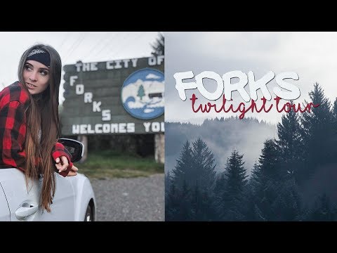 Видео: ФОРКС #4 | ОДНА В ЛЕСУ | СУМЕРКИ ТУР