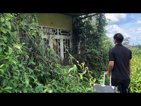 Видео: Покупка старого дома, похожего на ТРОПИЧЕСКИЙ ЛЕС, удивила всех.