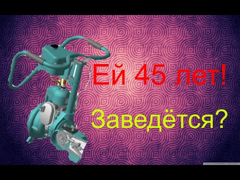 Видео: Запуск бензопилы Дружба-4. Ей 45 лет!