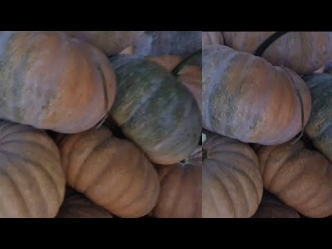 Видео: 248/ МОЕТО ТИКВЕНО ЦАРСТВО | СЕЛСКА АТМОСФЕРА