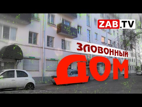 Видео: Дом в центре Читы утопает в канализации