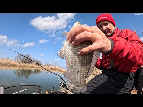 Видео: Ловим МНОГО карася на фидер в хорошей компании. НОВЫЙ конкурс!!!