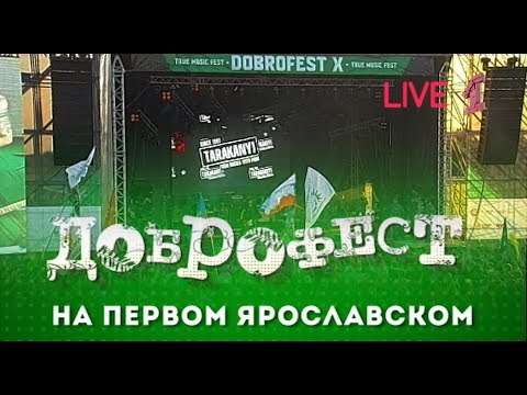 Видео: "Тараканы!" - Live Доброфест - 2019 ("Первый Ярославский")