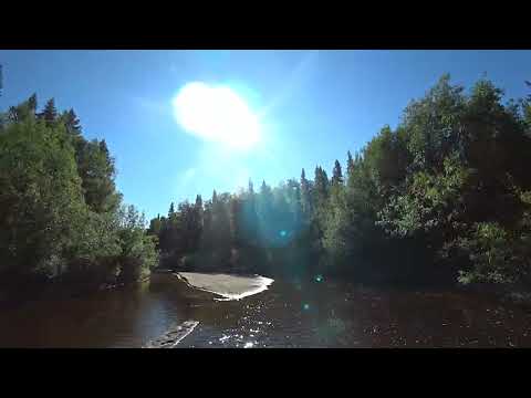 Видео: Рыбалка на Хариуса/Ловля ХАРИУЗКА летом