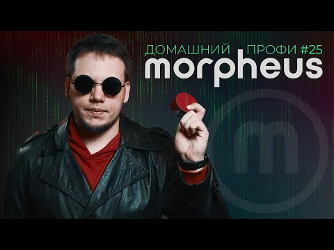 Видео: MORPHEUS | табак для всех| Домашний профи #25