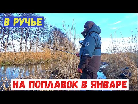 Видео: РЫБАЛКА НА ПОПЛАВОК НА МИКРОРЕЧКЕ В ЯНВАРЕ.
