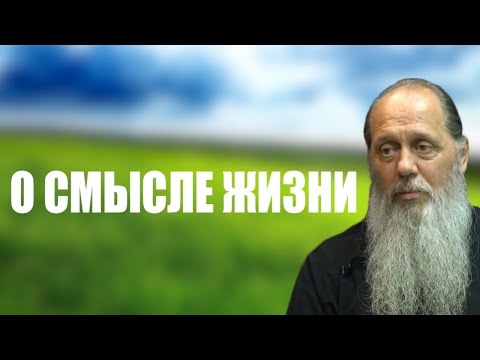 Видео: О смысле жизни