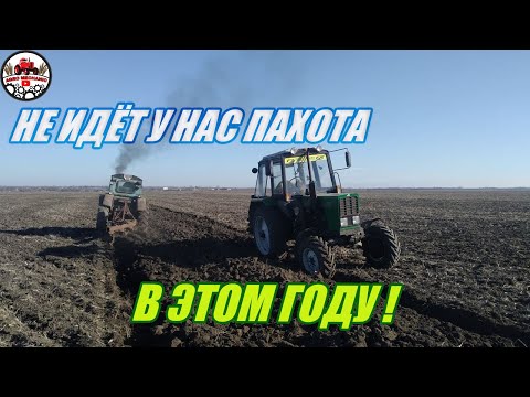 Видео: I Не лезет плуг на МТЗ 82.1.I Т-40 АМ тяжело но он прёт. I