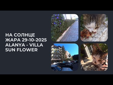 Видео: АЛАНЬЯ ЖАРА 29 ОКТЯБРЯ 2025 VILLA SUN FLOWER ALANYA