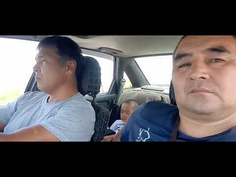 Видео: Түркістан облысы Шардара ауданы Қоссейіт ауылы