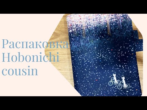 Видео: Распаковка Hobonichi cousin на 2025 год и обзор предыдущих планеров (Leuchtturm1917 и Moleskine)