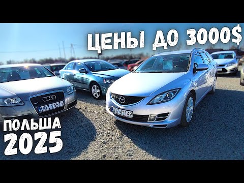 Видео: ВЫПУСК №1: АВТОПЛОЩАДКА ЦЕНЫ ДО 3000$ ПОЛЬША 2025 | Вроцлав | MILLIONCAR 2025