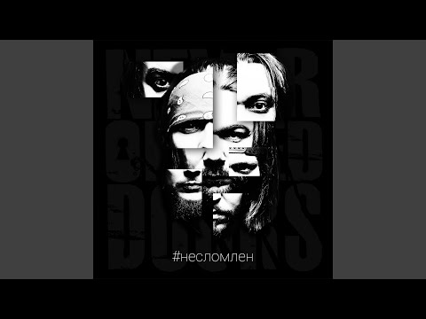 Видео: Приют