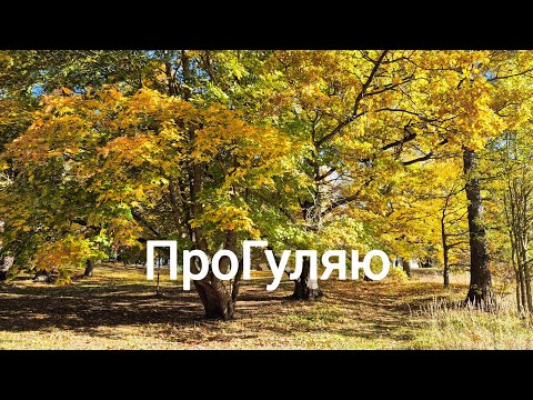 Видео: Прогулка на ферму домашних животных. В мой старый район.