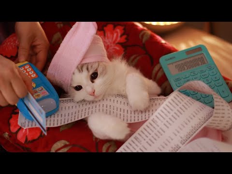 Видео: Последний курорт! Обанкротится ли Ттеоксун из-за неоплачиваемого спа? | Cat Spa ASMR Pt. 11