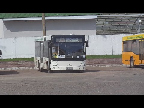Видео: Автобус №221. АВ Витебск - Замосточье (заезд в Волосово)