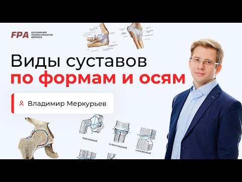 Видео: Виды суставов по формам и осям | Владимир Меркурьев (FPA)