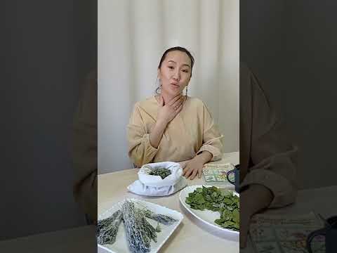 Видео: Эмтээх оттор тымныйыыга оҕоҕо туһалара