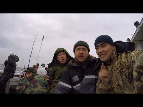 Видео: Рыбалка на дорша....(треска)