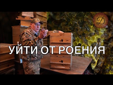 Видео: ВЫЙТИ ИЗ РОЕВОГО СОСТОЯНИЯ