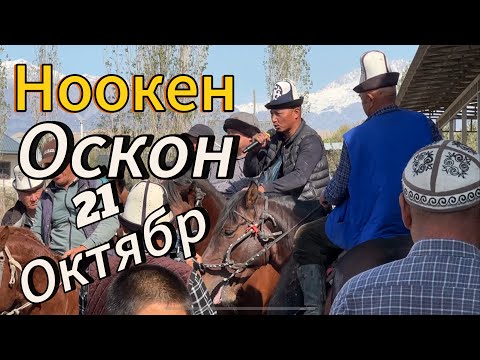 Видео: Оскон аке Атасына Аш Балдарына элден бата алуу максатында Аламан улак берди