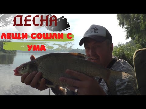 Видео: Офигенный клев Леща на Десне