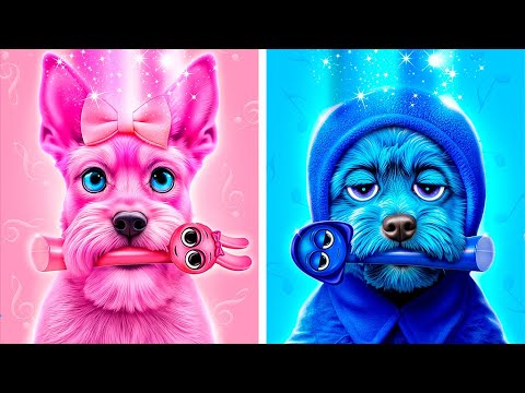 Видео: Секретные комнаты для животных одного цвета! Sprunki спасли собаку!