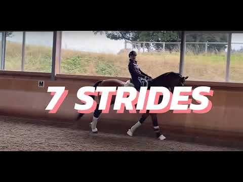 Видео: Собранный галоп - подробно шаг за шагом