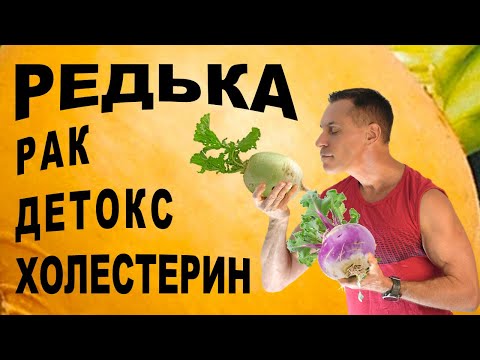 Видео: Редька и хрен спасают печень и гонят рак! 100% детокс